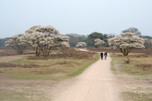Inspiratiebijeenkomst nalaten