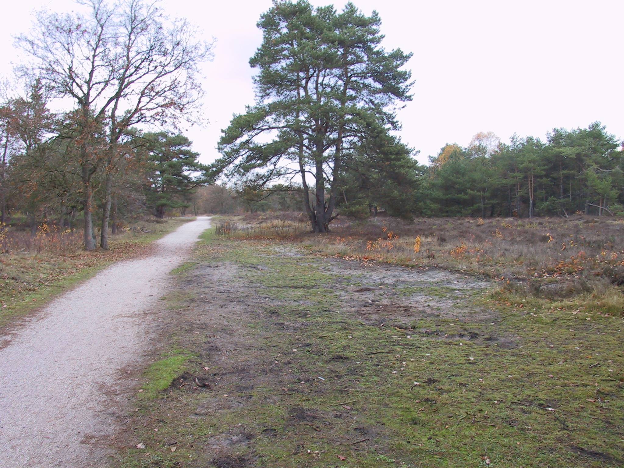 Natuur in de stad van groot belang voor natuur én bewoner