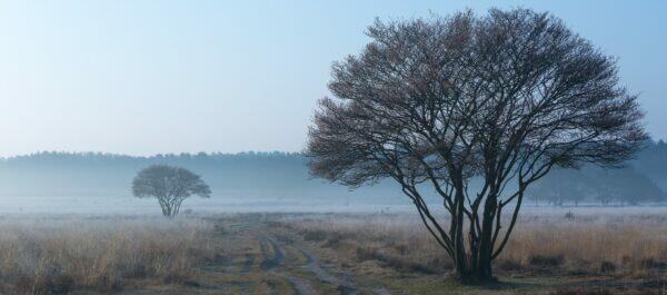 Fonds op naam of grote schenking