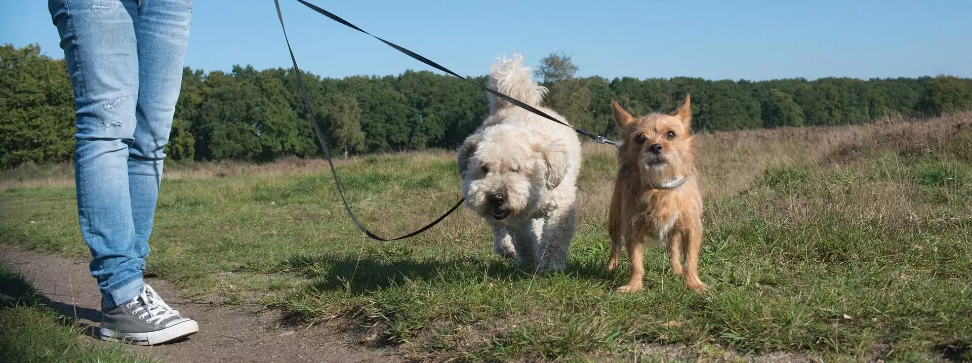 Het broedseizoen is ten einde, maar de natuur blijft kwetsbaar