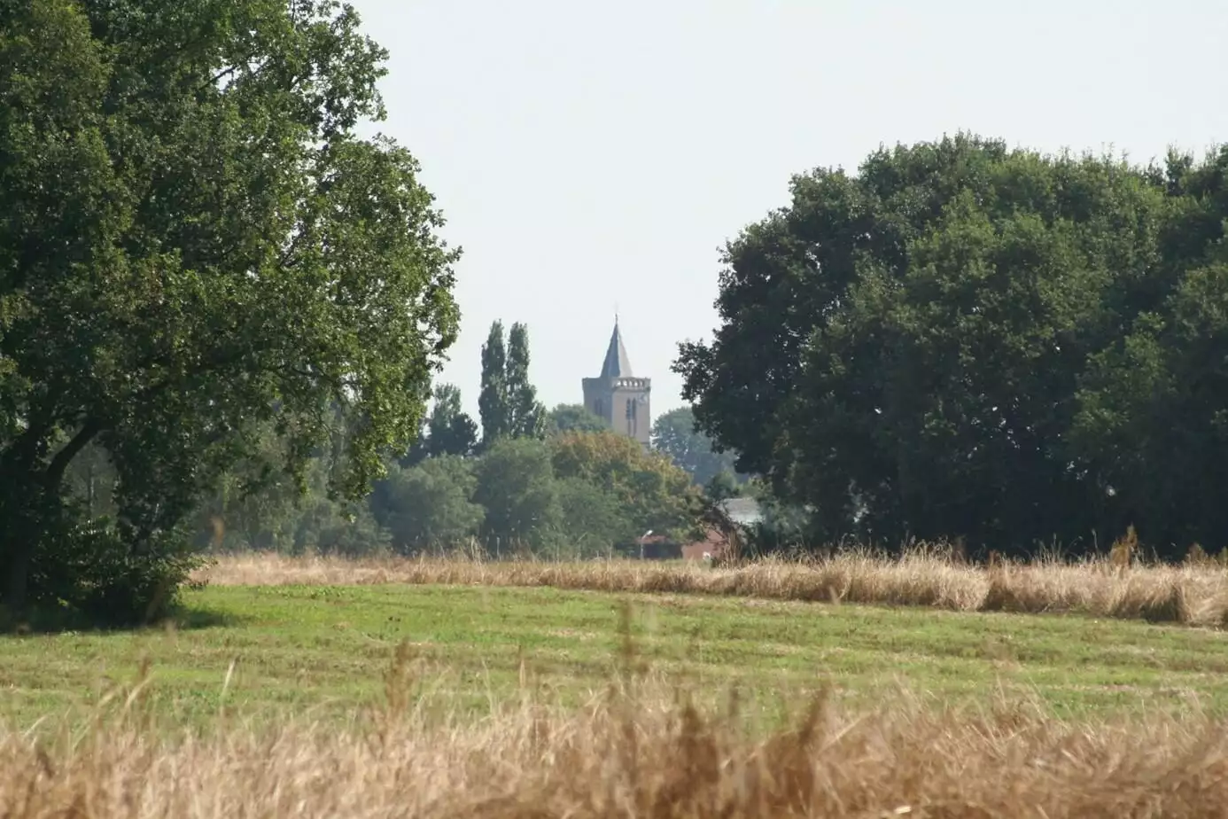 Goois Natuurreservaat stapt naar de rechter tegen hoogbouw Driftweg