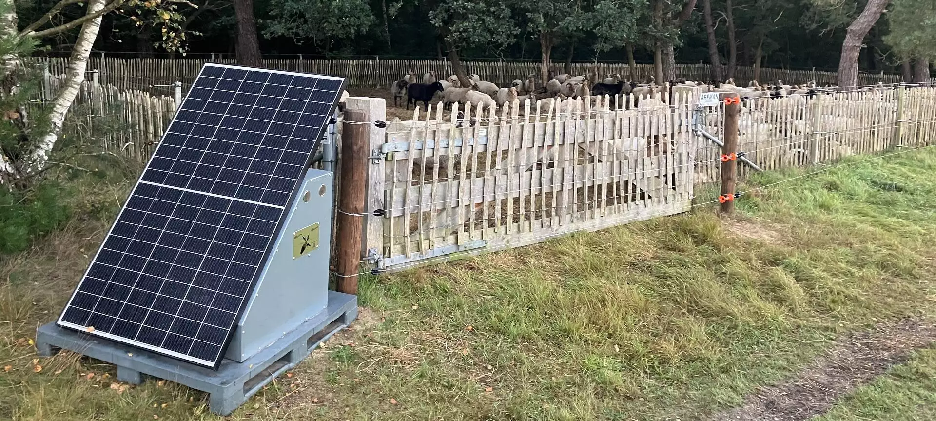 Herder Mirjam: Bescherming door zonlicht