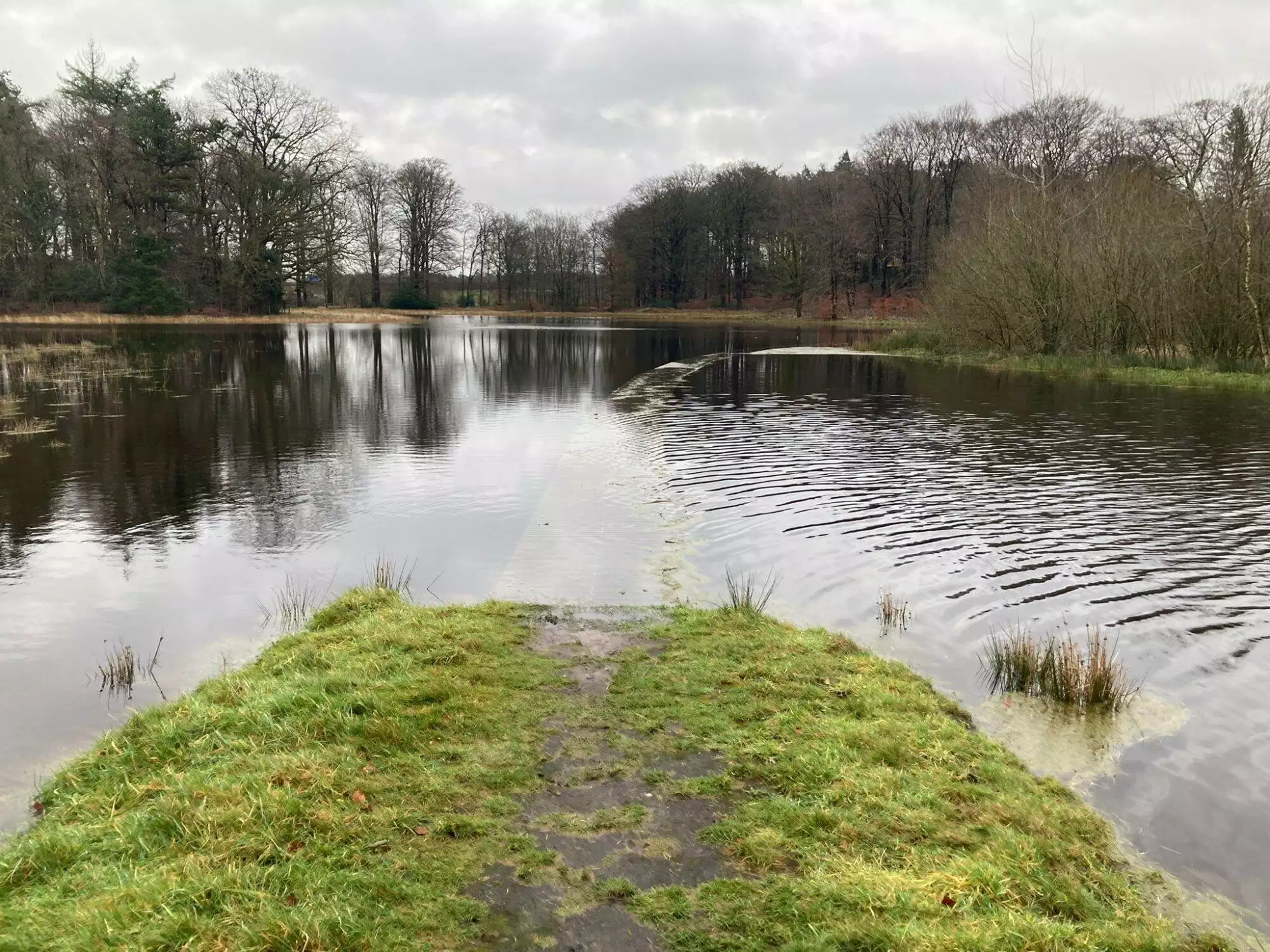 Hoogwater zorgt voor indrukwekkende beelden in het Goois Natuurreservaat