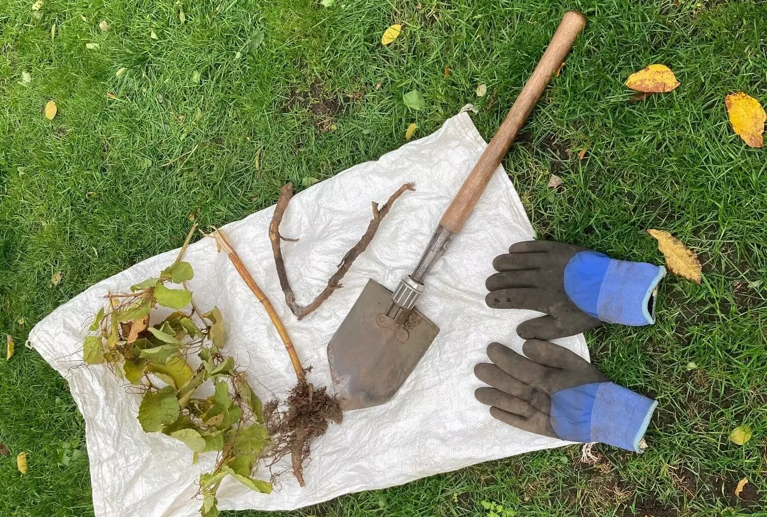 Boswachter Dirk: Gedumpt