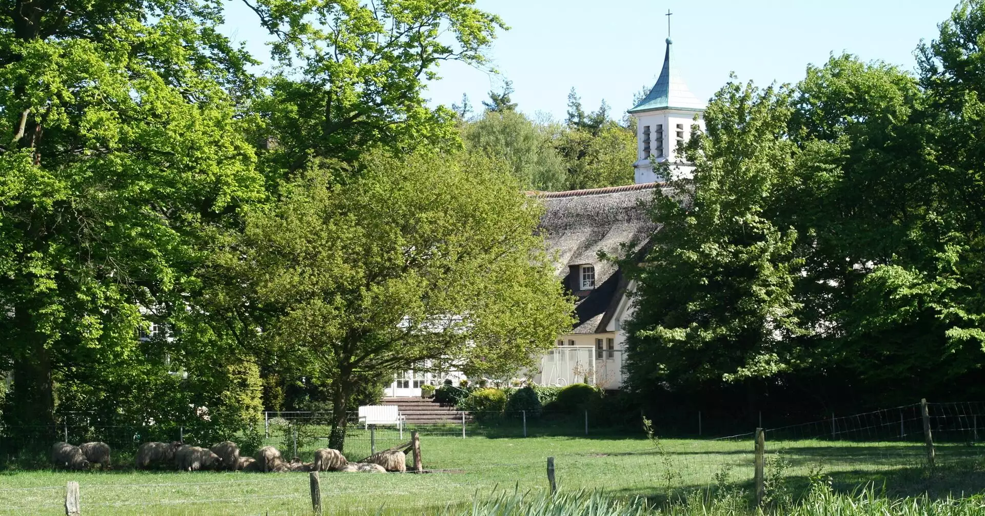 Boswachter Daan: Landgoed Monnikenberg