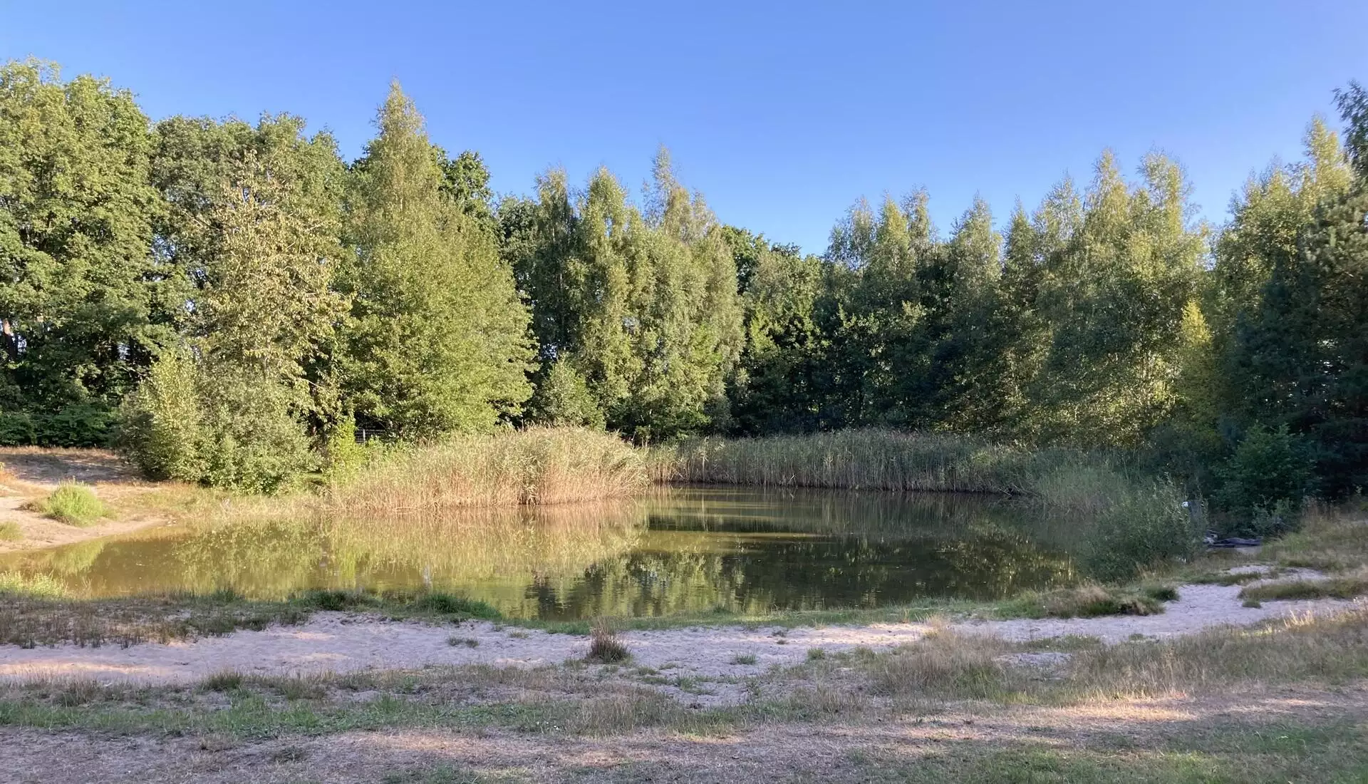 Natuurherstel Programma Natuur (eerste fase)