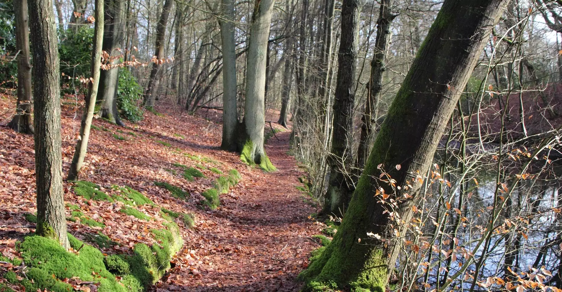 Natuur om de hoek: Landgoed De Beek