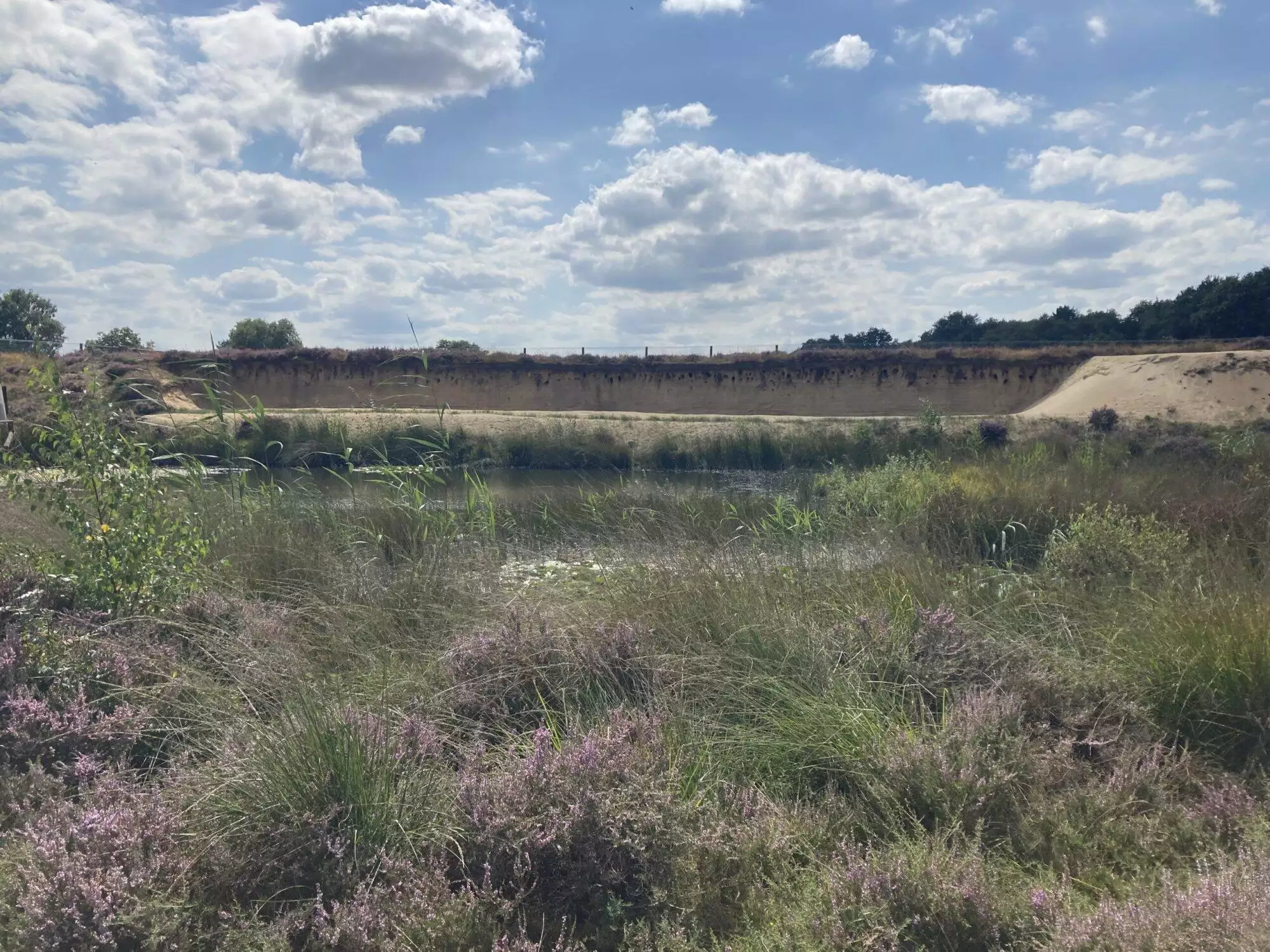 Samen maken we ons sterk voor de Gooise natuur.