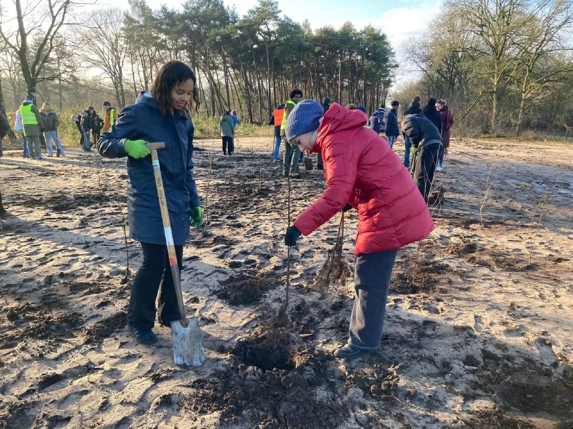 Leerlingen International School Hilversum planten bomen voor nieuw natuurgebied