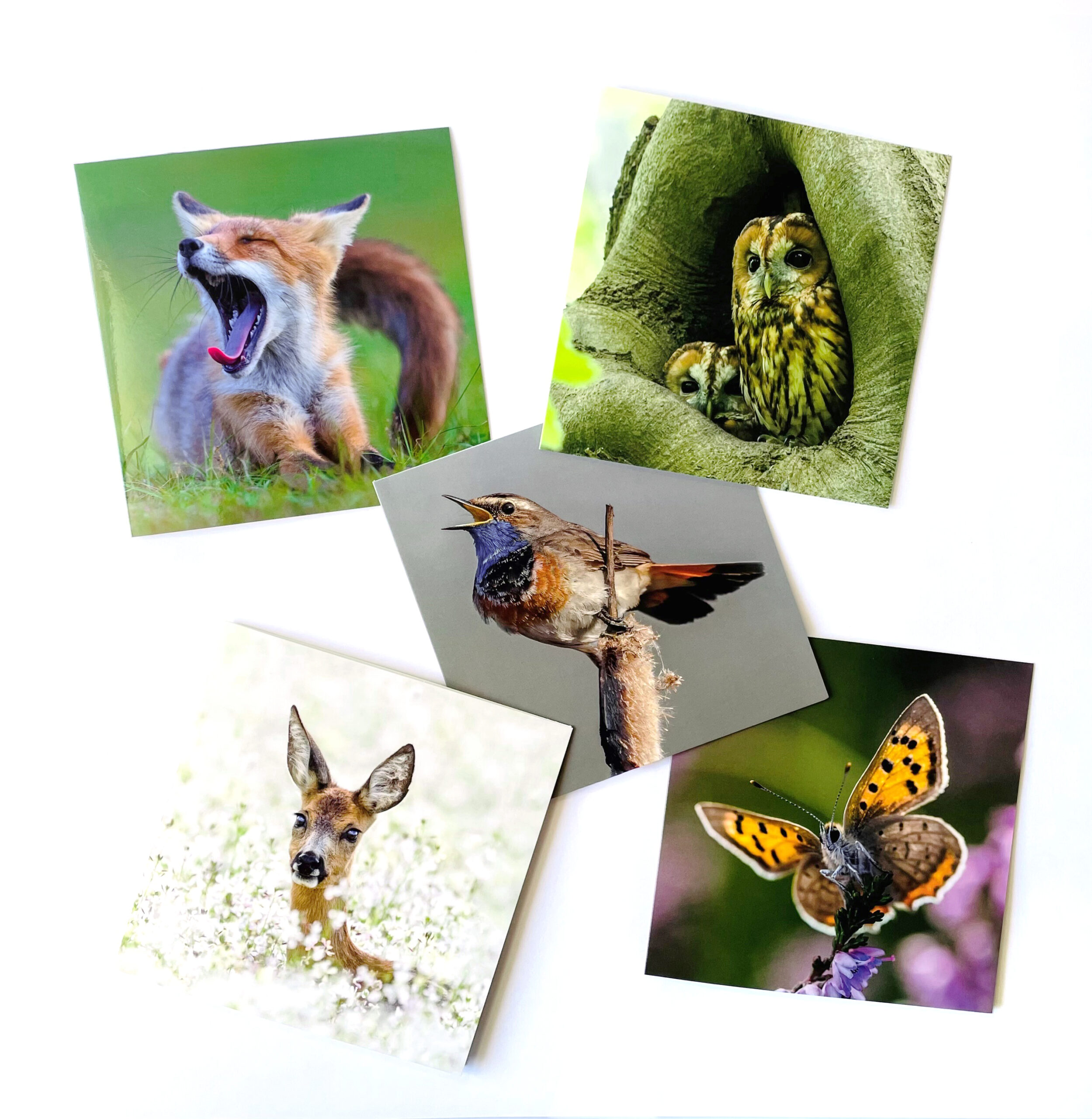 Kaartenmapje met 10 dubbele kaarten en enveloppen - Afbeelding 3