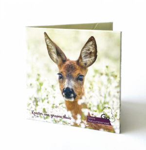 Kaartenmapje met 10 dubbele kaarten en enveloppen