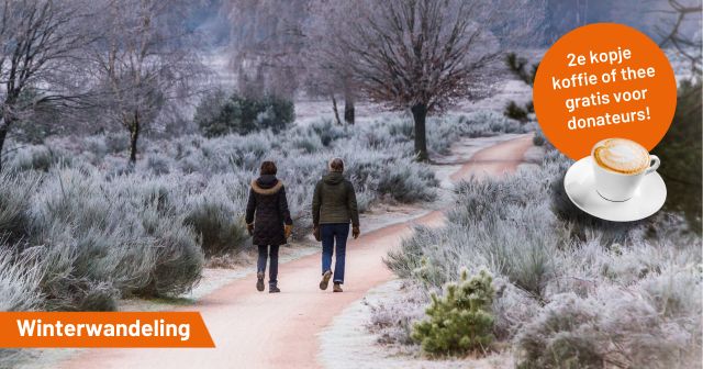 Geniet van de Gooise winter